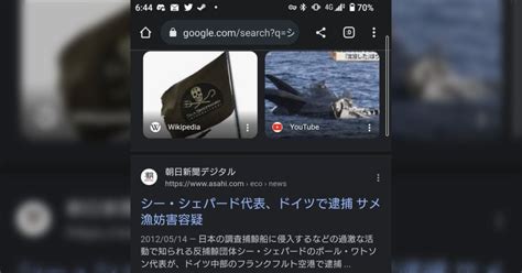 シーシェパードが困窮。日本がIWC脱退後、死んだ鯨 .